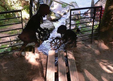 Camping Locronan, 3* - 14