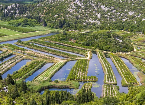 Circuit en étoile : Parfum de Croatie et de Bosnie-Herzégovine - 5