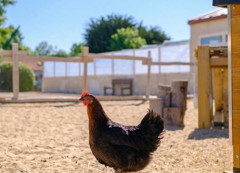 Camping Le Grand Pré, 2* - 11