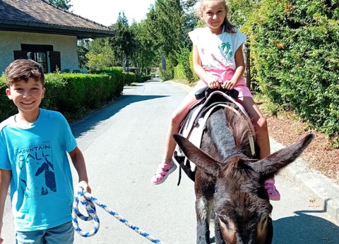 Camping Relais du Léman Pausado, 3* - 47