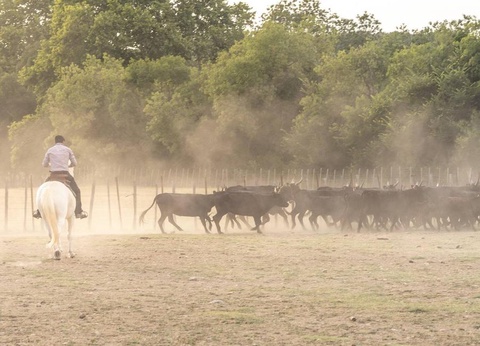 Camping Le Palavas, 4* - 54