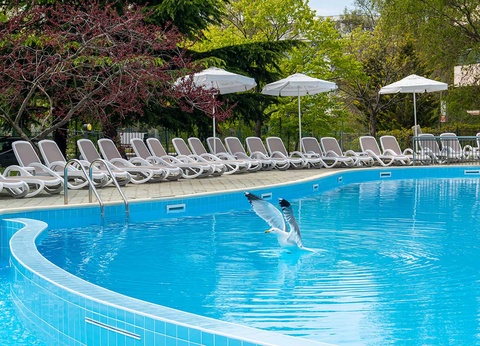 TUI Sélection Hôtel ihotel Sunny Beach - Choix Flex **** - 6