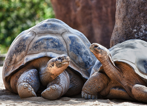 Circuit Equateur Authentique et Galapagos - 9