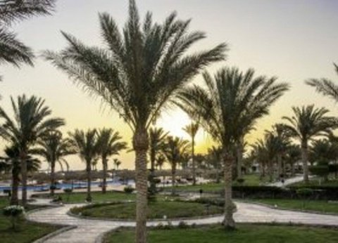 Hôtel Three Corners Sea Beach Resort 4* - 20