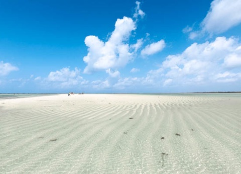 Bravo Club Watamu Beach 4* - 6