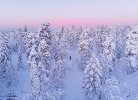 Club Jumbo Tankavaara Gold Village (activités incluses) - 19