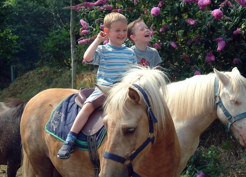 Camping Port de Plaisance, 5* - 44