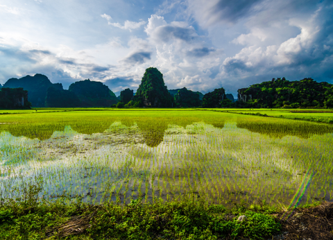 Circuit Lotus du Vietnam - 2