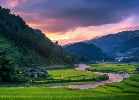 Circuit Aux origines du Vietnam : de Mu Cang Chai à Ta Giang Phin - 27