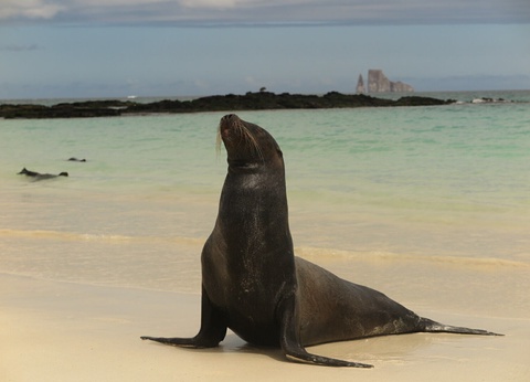 Du continent Amérindien aux îles volcaniques - 3
