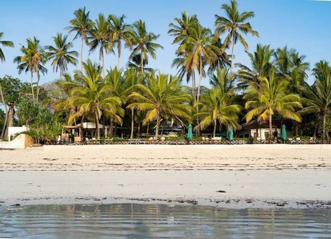 Asha Boutique Hotel - 17