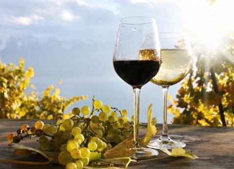 Camping Borepo, 3* - 21