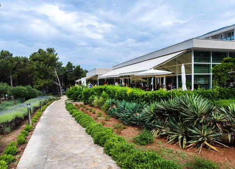 Hôtel Bluesun Hotel Elaphusa 4* - 48