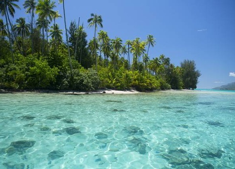 Carpe Diem en Polynésie - 3