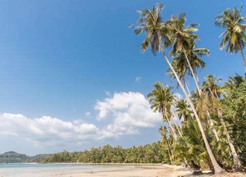 Combiné Thaïlande, De Bangkok aux Sables de Koh Kood 4* - 24