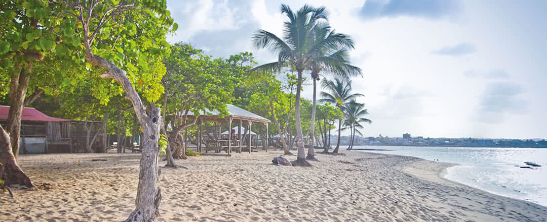 Résidence Tropicale - Location de voiture incluse - 11