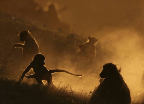 Circuit L'âme sauvage : voyage entre Kenya et Tanzanie - 9