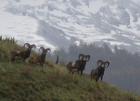 Camping Saint James Les Pins, 3* - 40