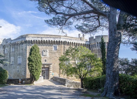 Flower Camping la Pinède, 4* - 17