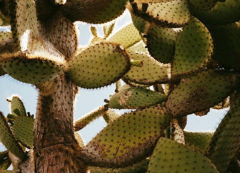 Hôtel Villa Vik 5* - Adult Only - 7