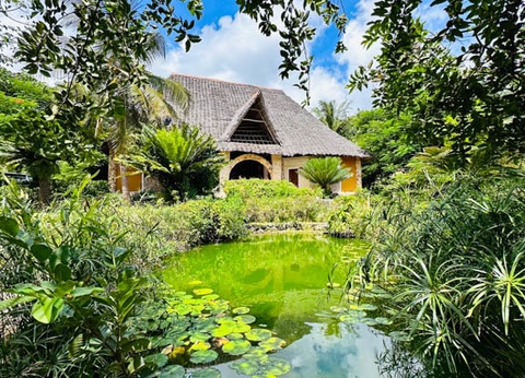 Hôtel Palumbo Mnemba View Resort 4* sup - 13