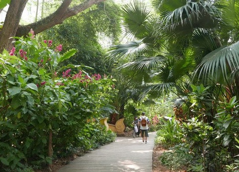 YUNNAN INTIMISTE - 10