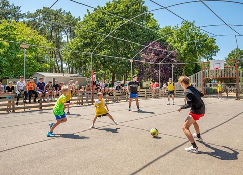 Flower Camping Au Bois des Biches, 4* - 42