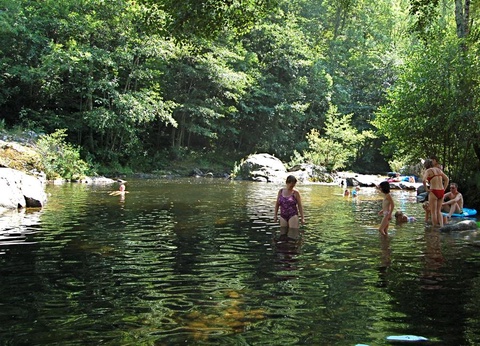 Camping l'Ardéchois, 5* - 8