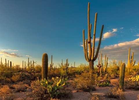 Circuit Entre civilisations aztèque et maya (avec 3 nuits au Framissima Évasion Tulum Riviera) **** - 8