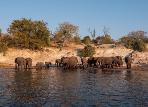 Chroniques d'Afrique Australe - Afrique du Sud, Zimbabwe, Eswatini - 6