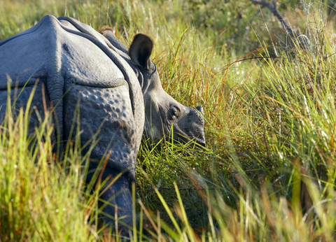 Circuit Essence du Népal, Voyage Ethique et Responsable en Privatif - 7