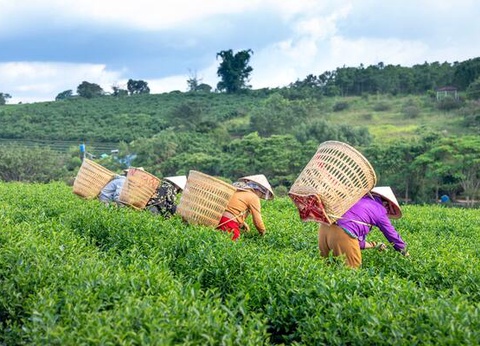 Circuit Vietnam Insolite - 13