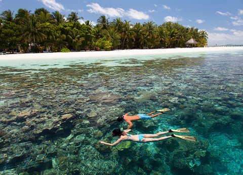 Hôtel Vilamendhoo 4* - 11