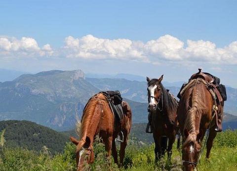 Camping Bungalowpark Isabena - 7