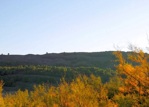 Camping Lago Resort - 28