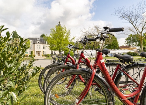 Camping Château des Marais 5* - 15