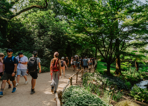 Puy du Fou - Hôtel Le Camp du Drap d'Or - Hôtel+billet+petit-déjeuner - 26