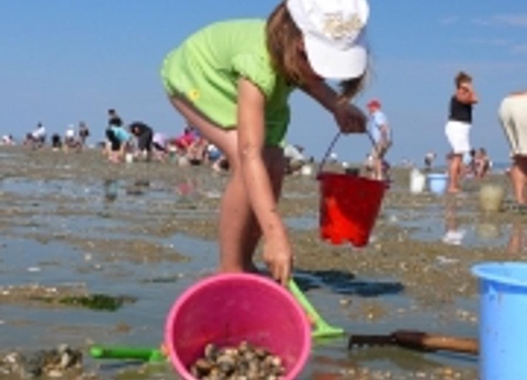 Camping Les Peupliers, 4* - 35