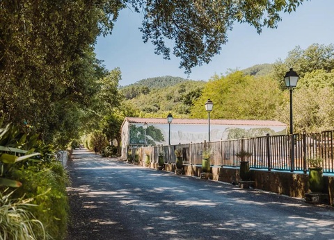 Camping La Clémentine 4* - 16