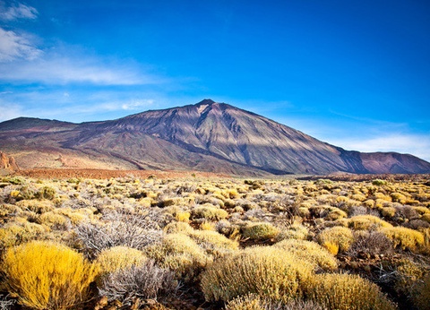 Circuit Randonnée entre océan et Teide, logement au Club Jumbo Bluesea Puerto Resort 3* - 15