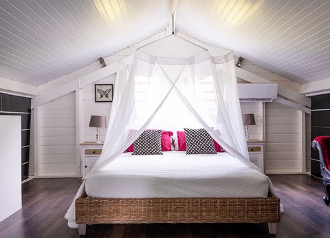 Domaine de la Palmeraie - 7