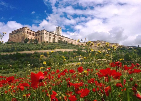 Badiaccia Camping Village, 4* - 67