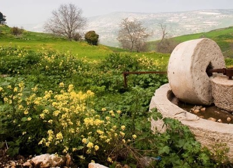 Circuit Trésors de Chypre 3* - 3