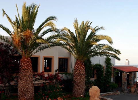 Hôtel Hersonissos Village 4* By Ôvoyages - 4