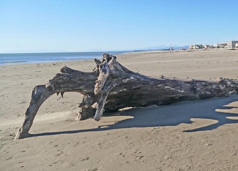 Camping La Falaise Narbonne Plage, 4* - 38