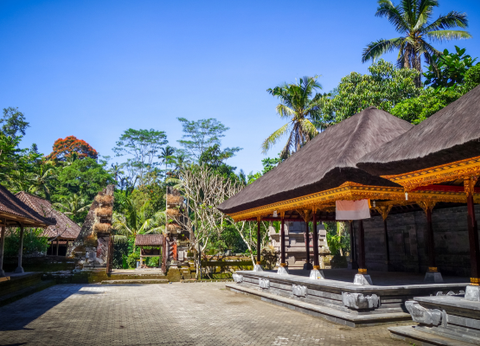 Circuit Des Secrets de Bali aux Dragons de Komodo - 7