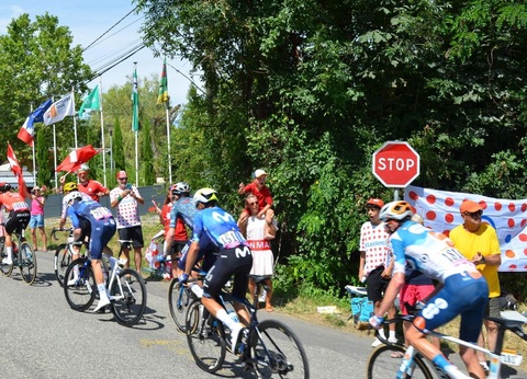 Camping Alpes Dauphine, 4* - 11