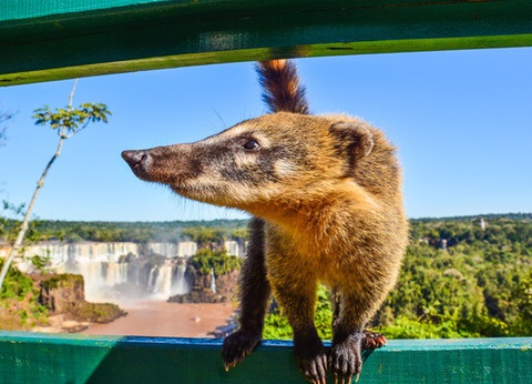 Circuit L'Argentine des grands espaces (maximum 16 participants) - 21