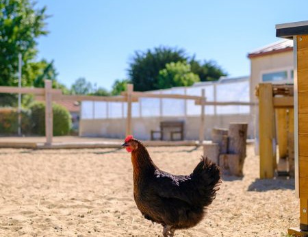 Camping Le Grand Pré 2* - 13