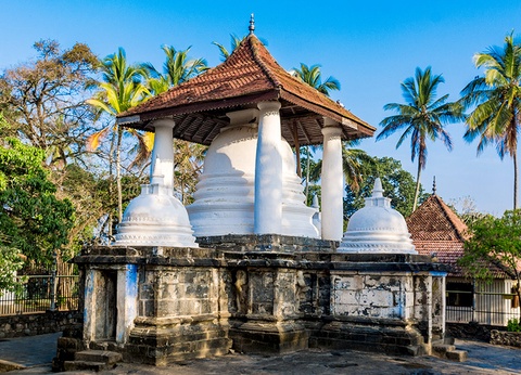 Circuit Sur la Route des temples Sri Lankais 3/4* - 8